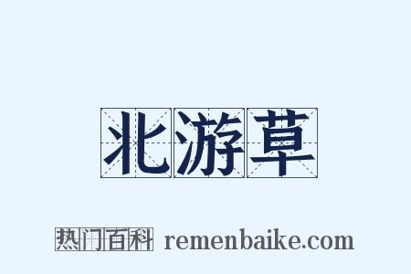 北游草是什么意思的图片